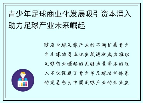 青少年足球商业化发展吸引资本涌入助力足球产业未来崛起
