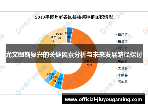 尤文图斯复兴的关键因素分析与未来发展路径探讨