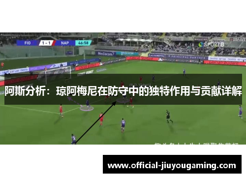 阿斯分析：琼阿梅尼在防守中的独特作用与贡献详解