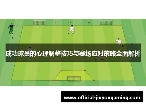 成功球员的心理调整技巧与赛场应对策略全面解析