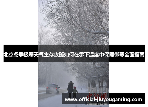 北京冬季极寒天气生存攻略如何在零下温度中保暖御寒全面指南