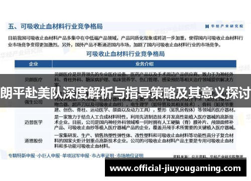 朗平赴美队深度解析与指导策略及其意义探讨