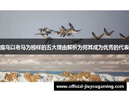 魔鸟以老马为榜样的五大理由解析为何其成为优秀的代表